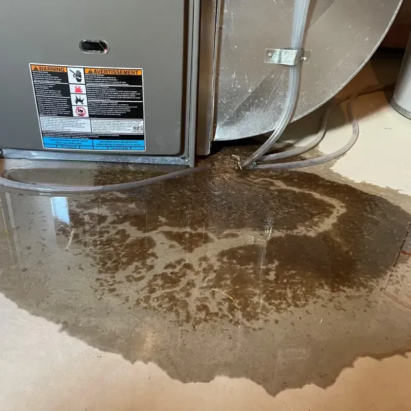 Appliance Leak Cleanup in North Zanesville, OH